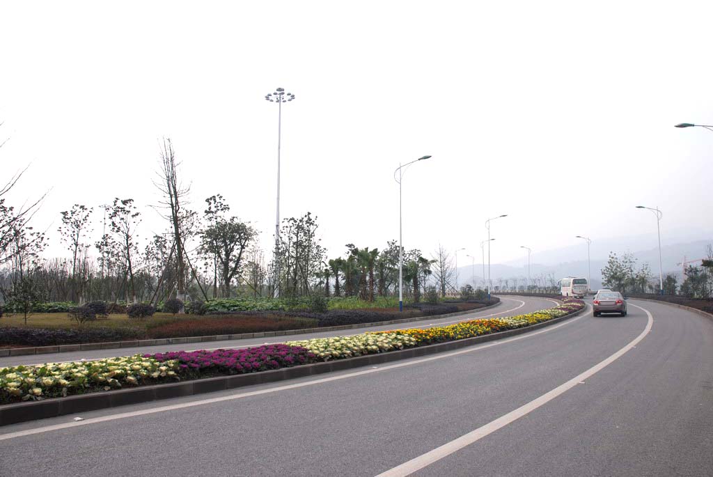 長(zhǎng)沙縣開(kāi)元路開(kāi)元路綠化工程