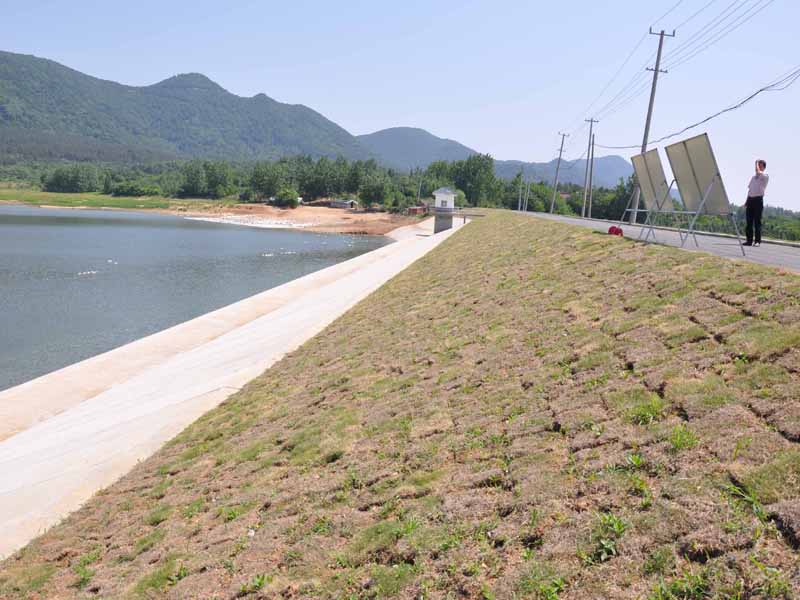 新化縣劉家沖水庫除險加固工程